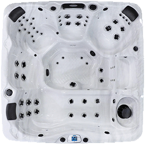 Avalon EC-867L hot tubs for sale in hot tubs spas for sale Chula Vista