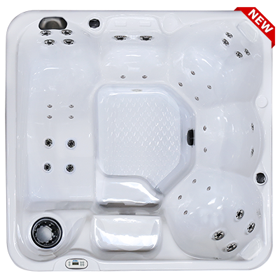 Hawaiian PZ-636L hot tubs for sale in hot tubs spas for sale Chula Vista